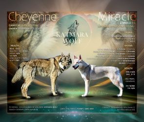  Chayenne a Miracle z Molu Es